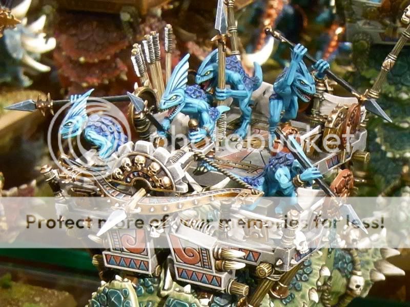 StegadonDetails.jpg