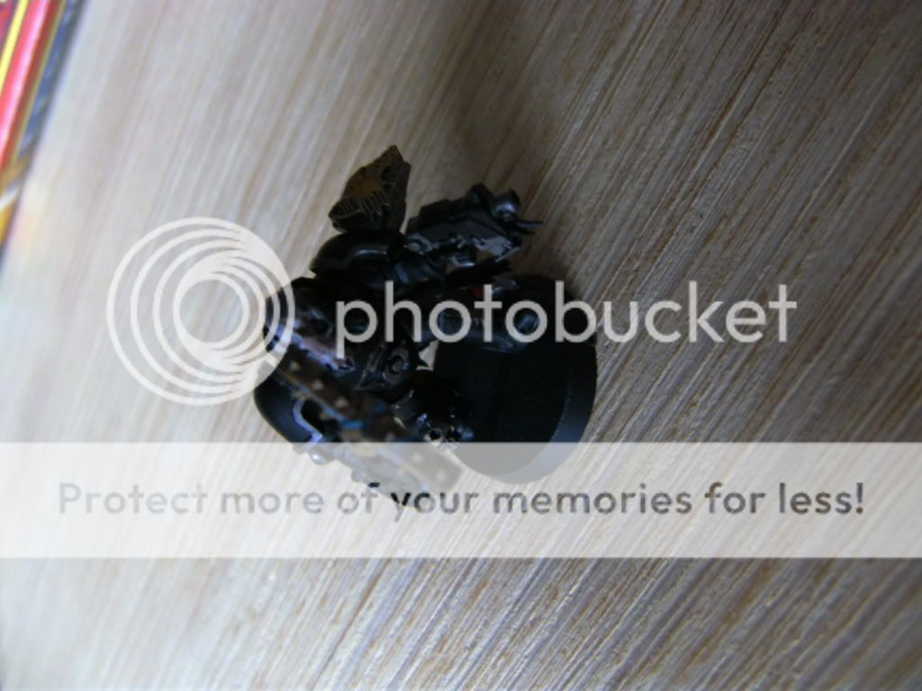 BILD0652.jpg