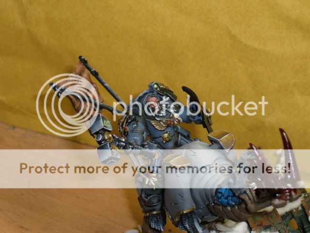 CIMG0415.jpg