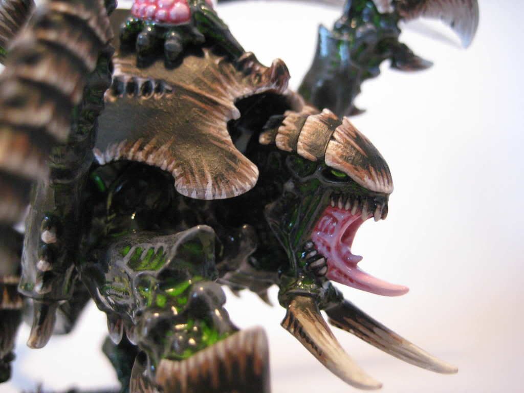 Tyraniden050.jpg