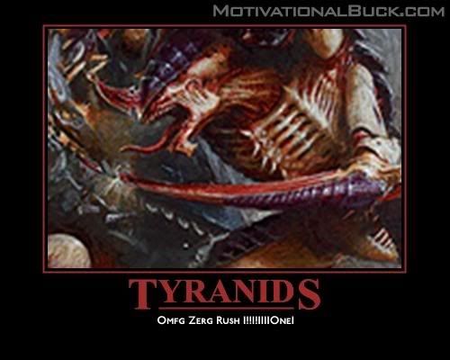 nids.jpg