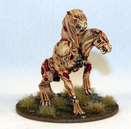 269d7mjt.jpg