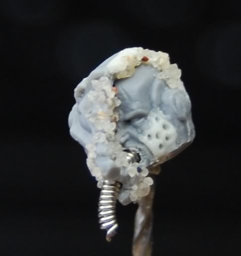 head2.jpg