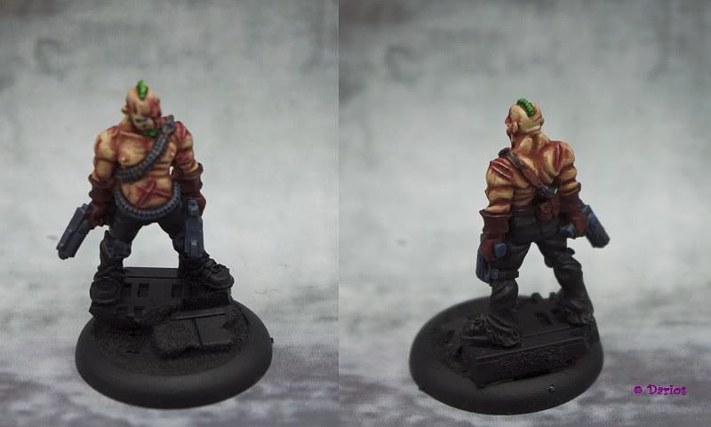 WIPPAnorama.jpg