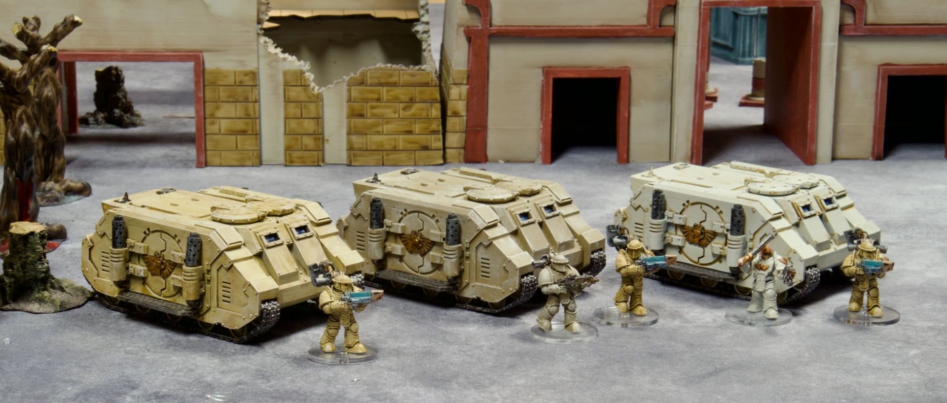 Rhinos.jpg