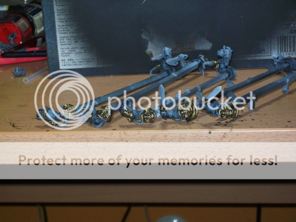 BILD2237.jpg