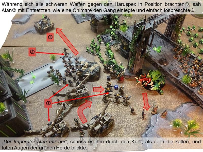 30826923iz.jpg