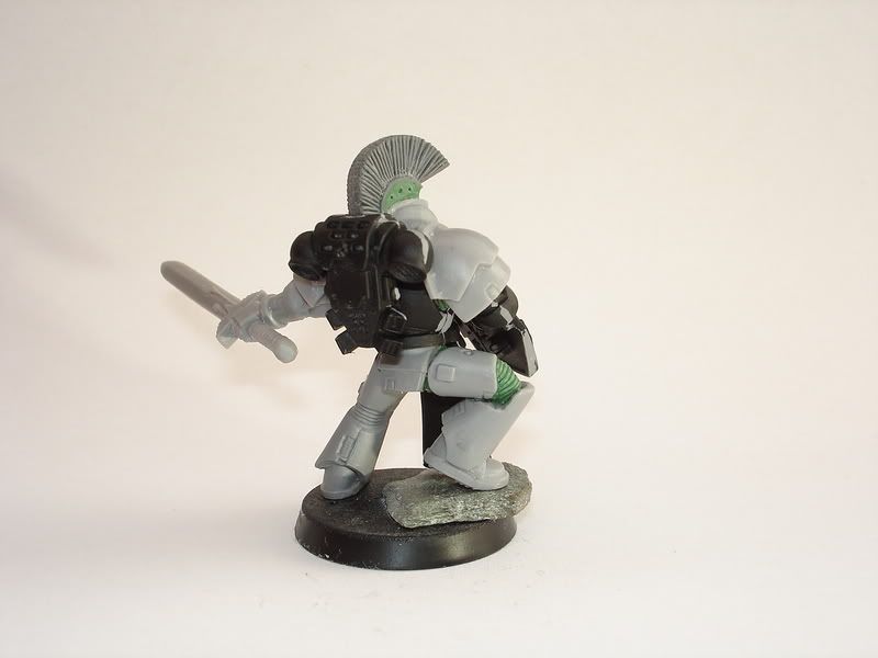 BloodhoundScribtorundChamp004.jpg