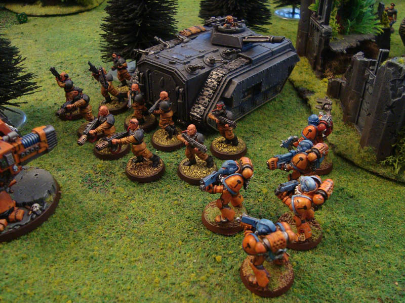 aufb248.jpg