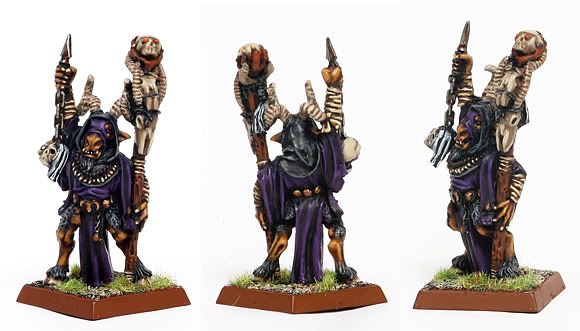 tierm-schamane1.jpg