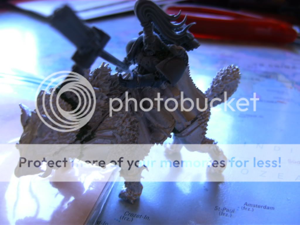 BILD0858.jpg