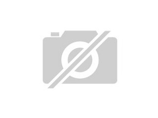 tiere-20090217002400.jpg