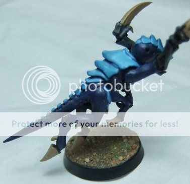 wipwip7.jpg