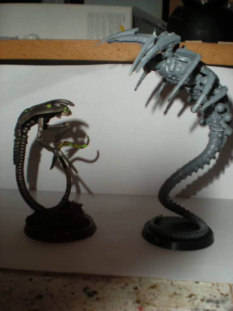 DSCN4595.jpg
