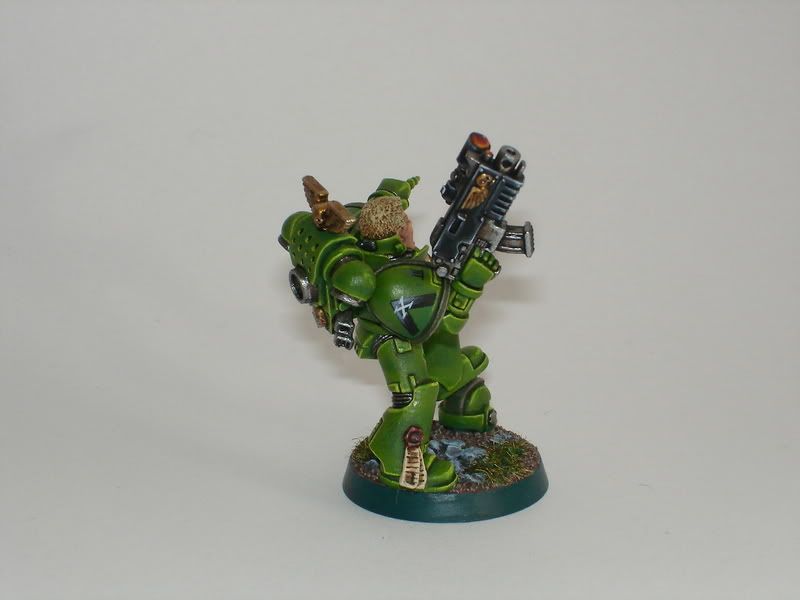 Bloodhound003.jpg