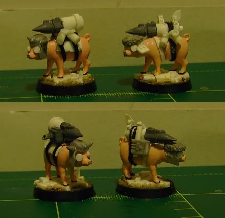 sprengsquigs.jpg