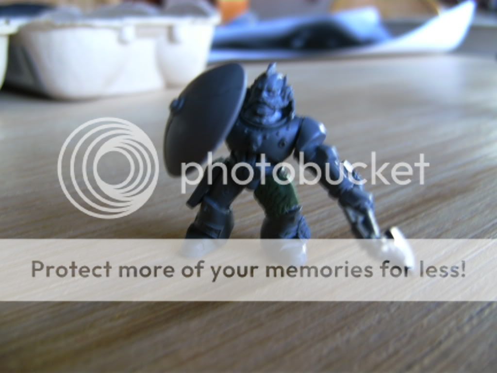 BILD0752.jpg