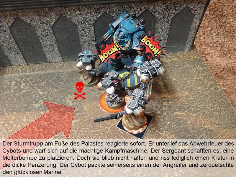 29667488dm.jpg