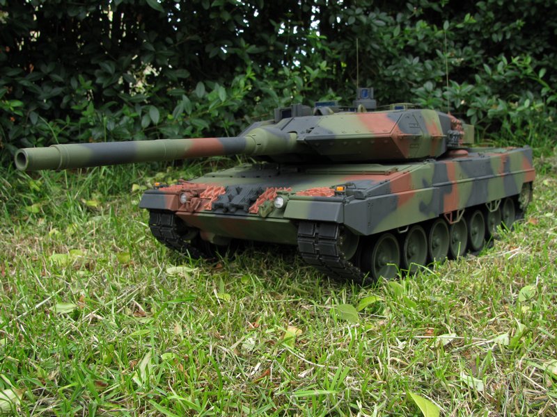 leopard-92.jpg