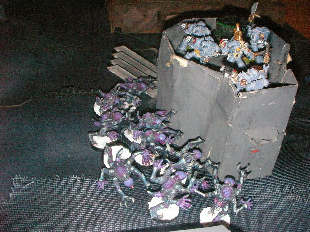SANY0075.jpg