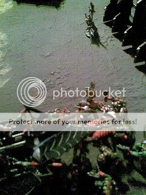 Bild013.jpg