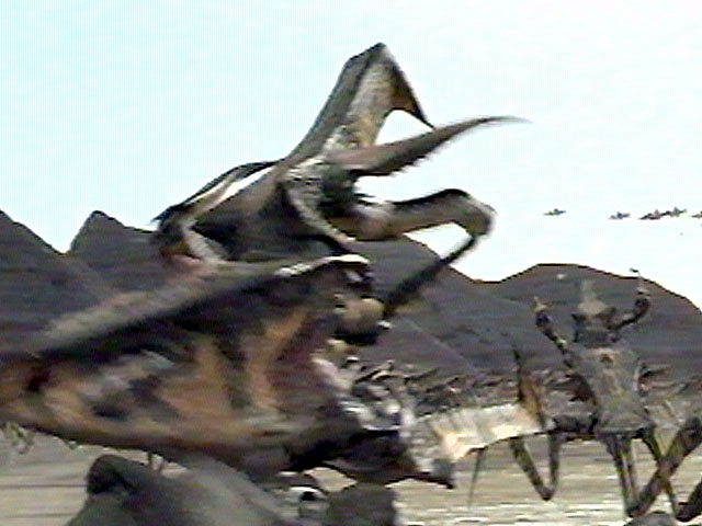 capture32.jpg