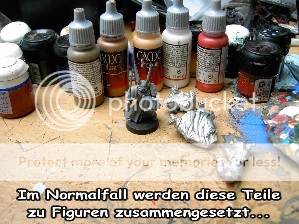 DZ04.jpg