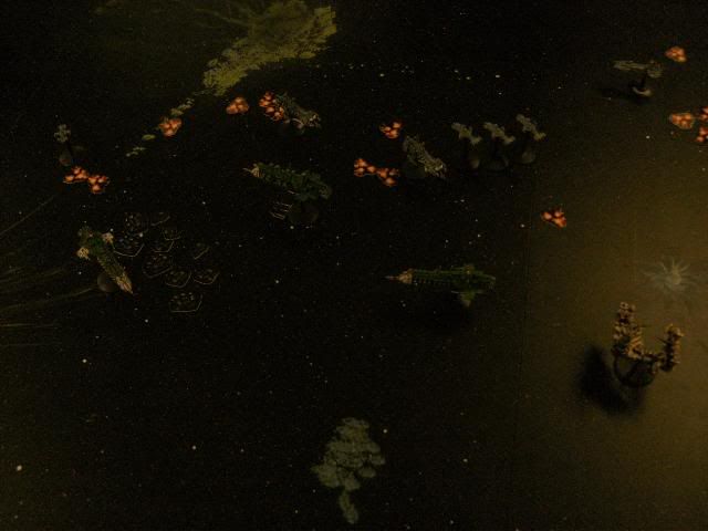 BILD0044.jpg