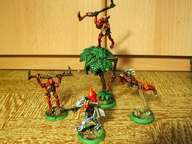 geierkroot2.jpg