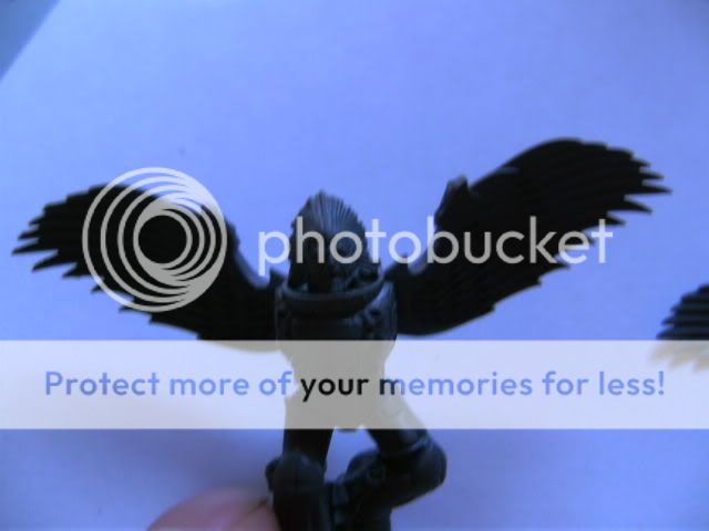 BILD0665.jpg