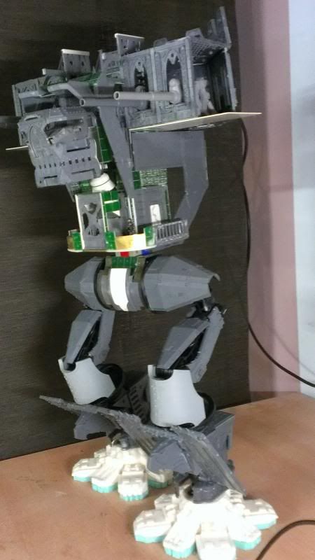 IMAG0431.jpg