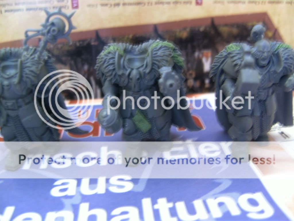 BILD0763.jpg