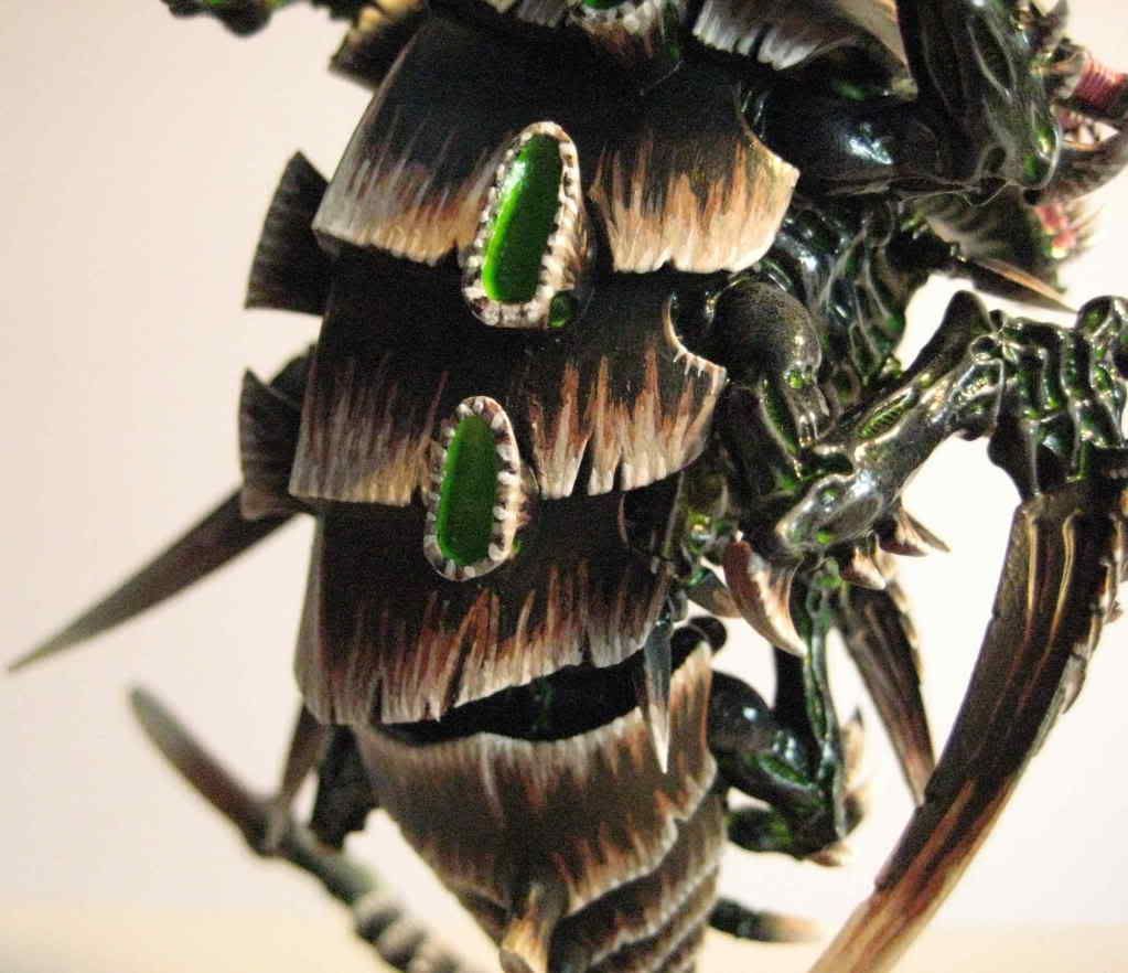 Trygon080.jpg