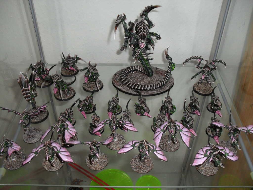 Tyraniden2.jpg