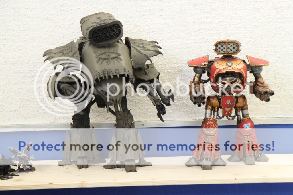 IMG_8084.jpg