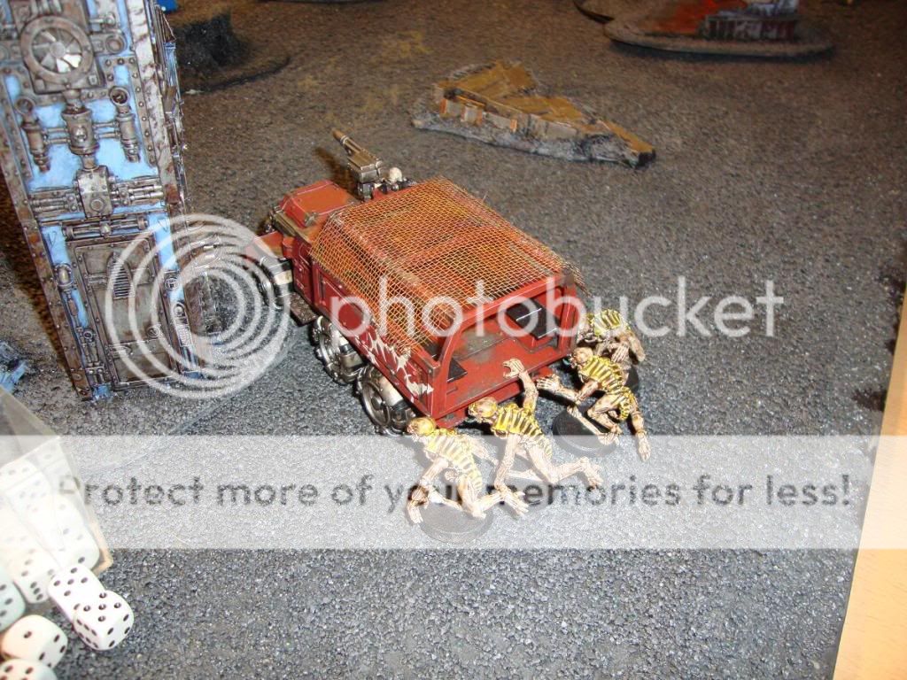 DSC00417.jpg