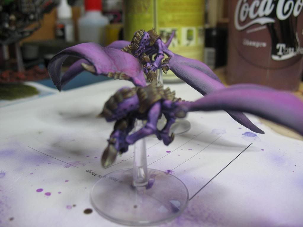 garg2.jpg