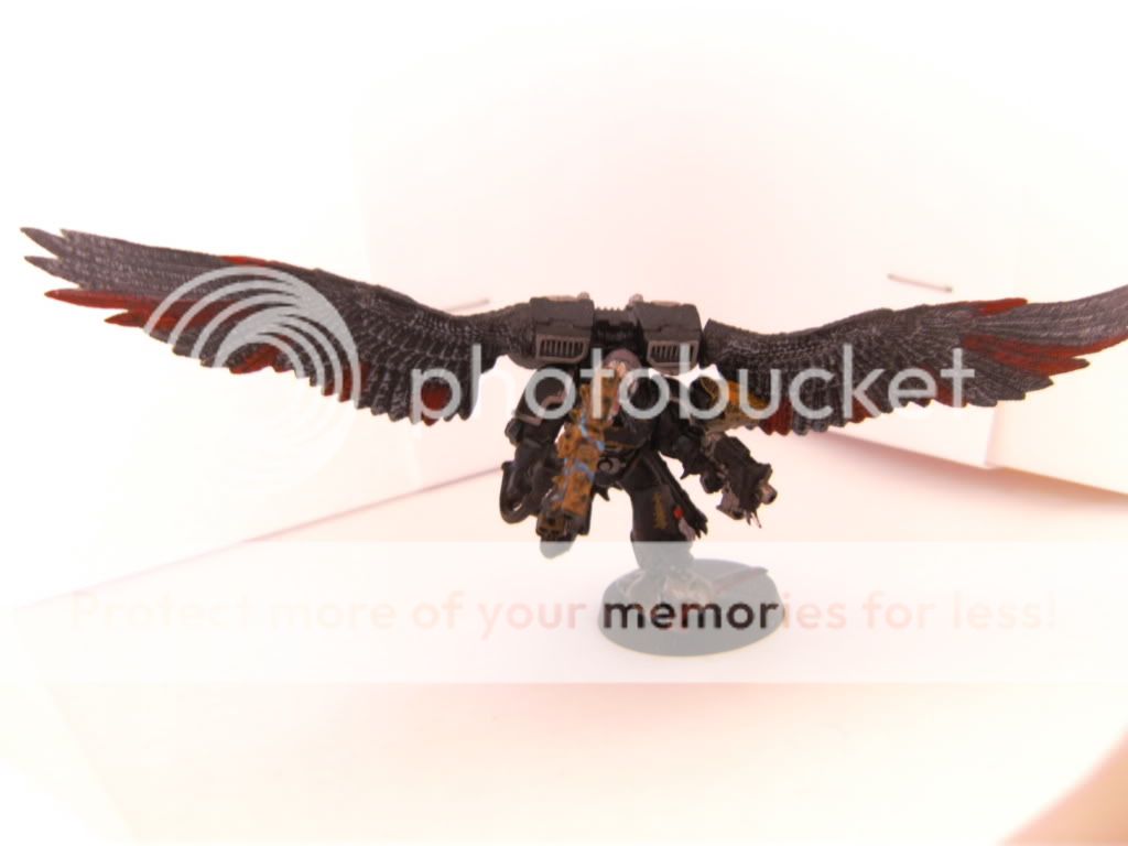 BILD0873.jpg