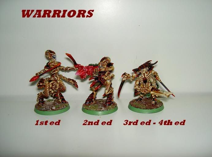 Warriors_Evolve.jpg