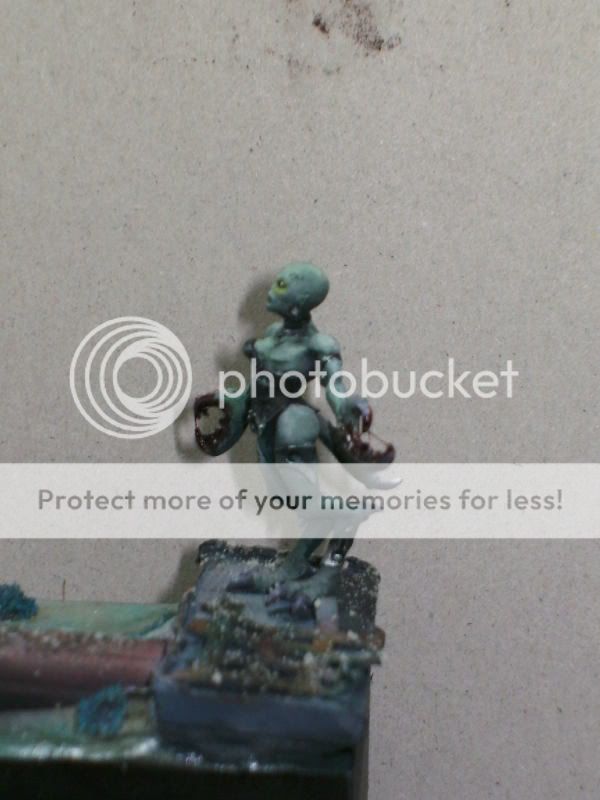 BILD2792.jpg