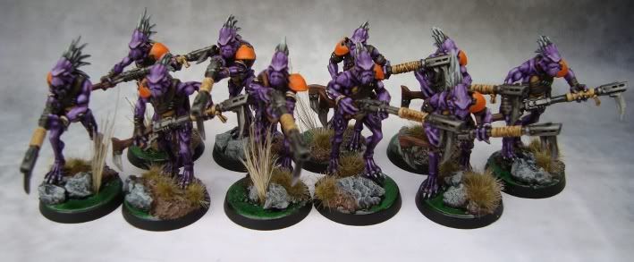 Kroot1_v.jpg