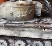 tiger3.jpg
