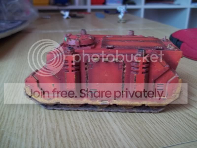 Rhino-1.jpg
