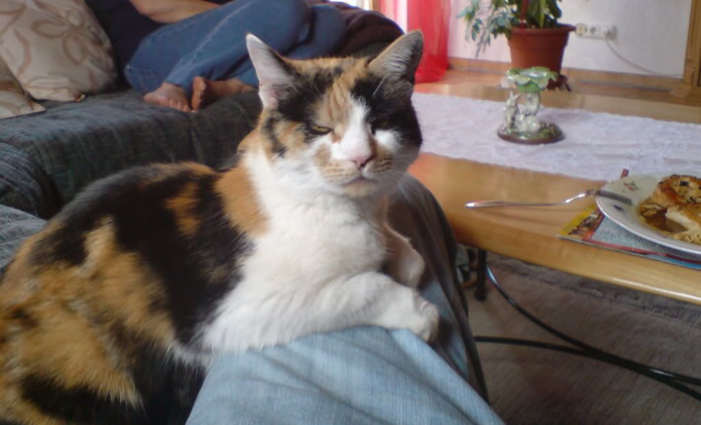 DSC00056.jpg