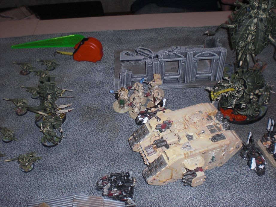 CIMG8845_zps042972c6.jpg