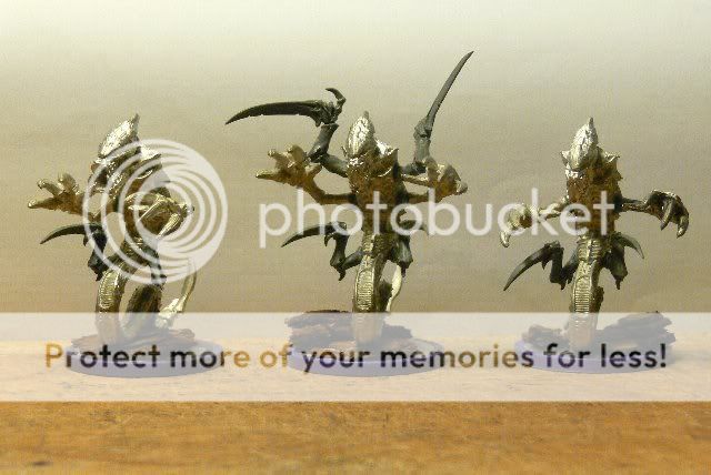 P1080699_640x428.jpg