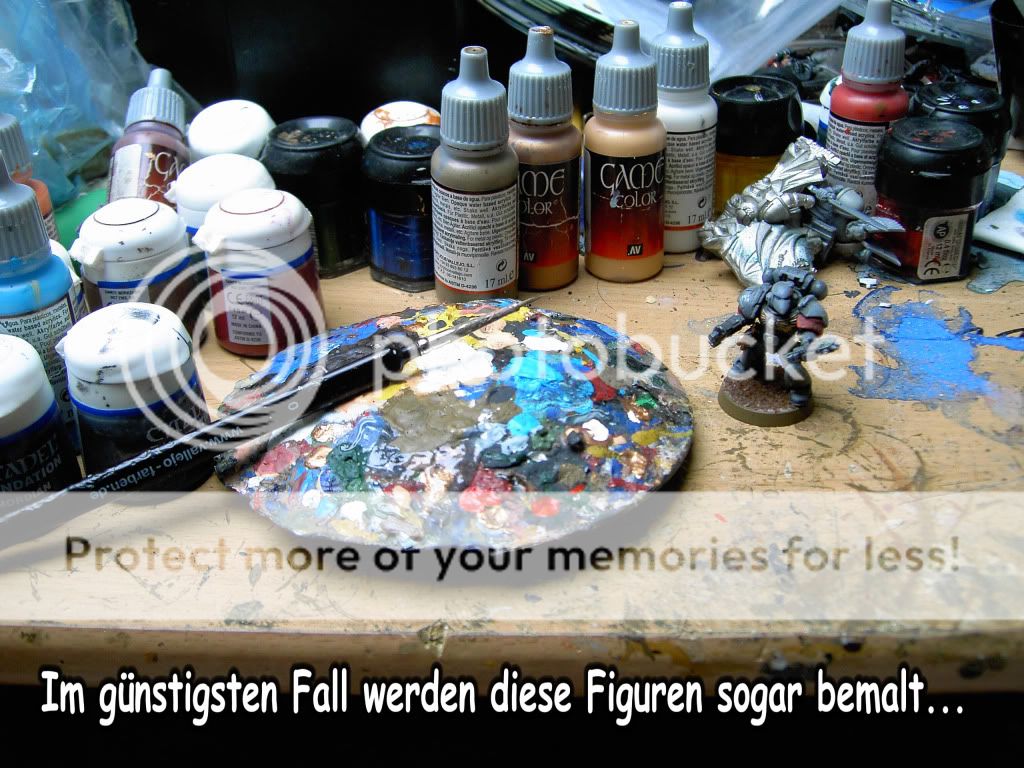 DZ05.jpg
