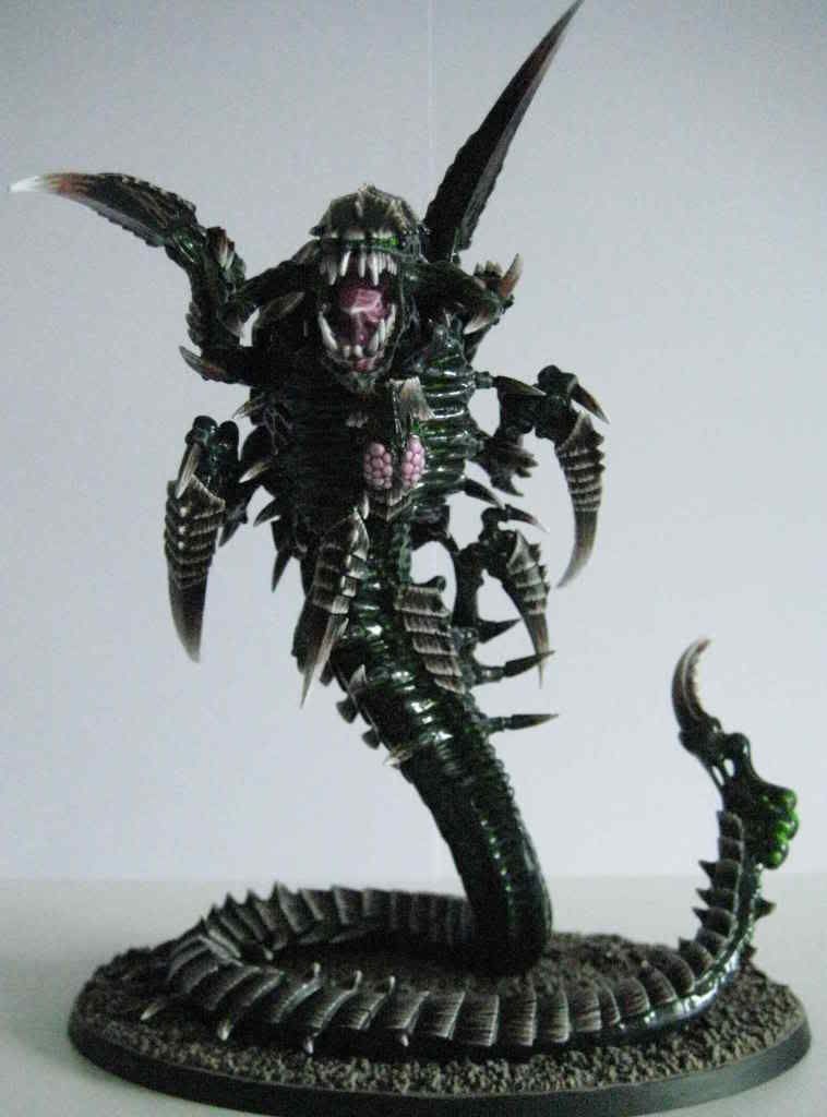 Trygon051.jpg