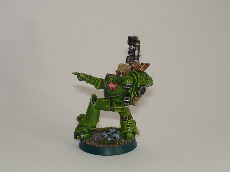 Bloodhound004.jpg