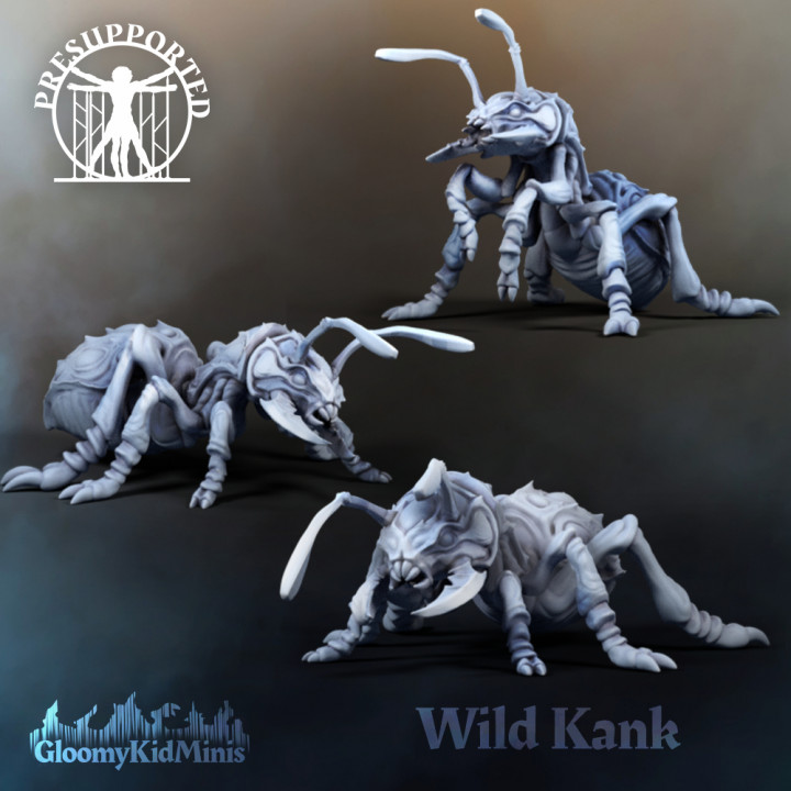 www.myminifactory.com